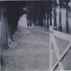 img12